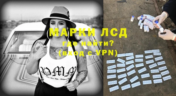 индика Алзамай