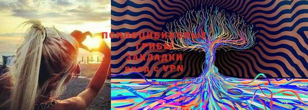 ECSTASY Семилуки