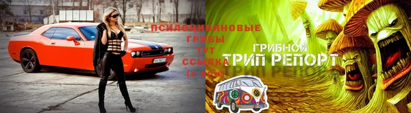 ALPHA-PVP Семикаракорск