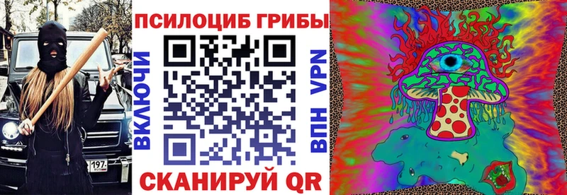 KRAKEN как войти  Фатеж  Псилоцибиновые грибы прущие грибы 