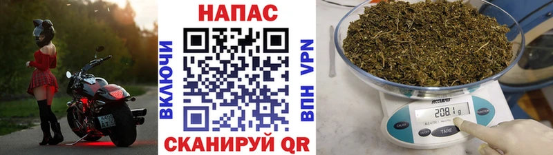 Конопля MAZAR  mega как зайти  Фатеж  как найти закладки 